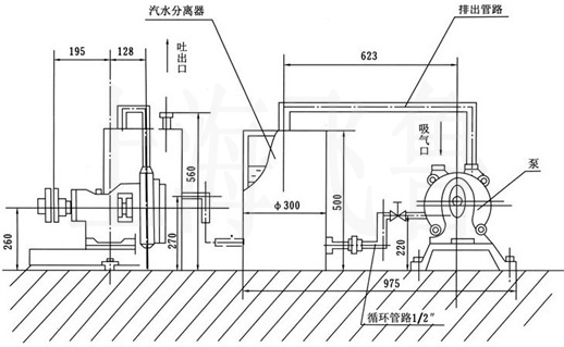 杭州柞木體育場地板圖片