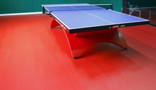 乒乓球地板 乒乓球地板