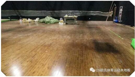 ������ꖅ^׷��Ӯ�Ӱ�����_ľ�ذ�ɹ�����